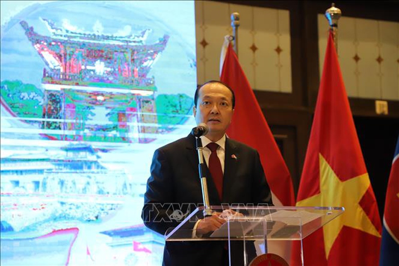 Vietnam and Egypt hold great potential for cooperation, says ambassador